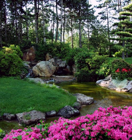 landscape, japanese garden, ornamental garden, dusseldorf, north park, park, flower, flower background, spring, nature, bach, beautiful flowers, watercourse, flower wallpaper, germany, horticulture